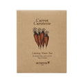 [SKINFOOD] Carrot Carotene Calming Water Pad (5 sheets)