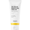 [SKINFOOD] Royal Honey 100 Hour Moisture Cream (100ml)