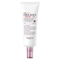 [SKINFOOD] Fig Vegan Collagen Cream (70ml)