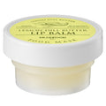 [SKINFOOD] Lemon Dill Butter Food Mask Lip Balm (21g)